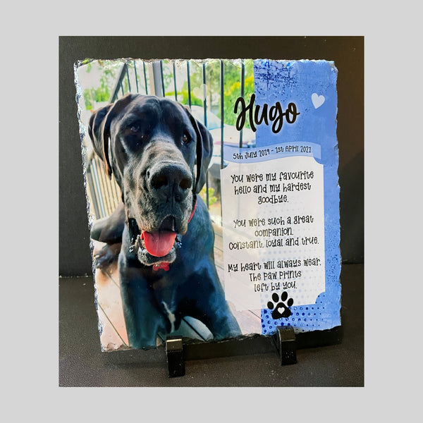 Pet Memorial Slate blue background with your photo