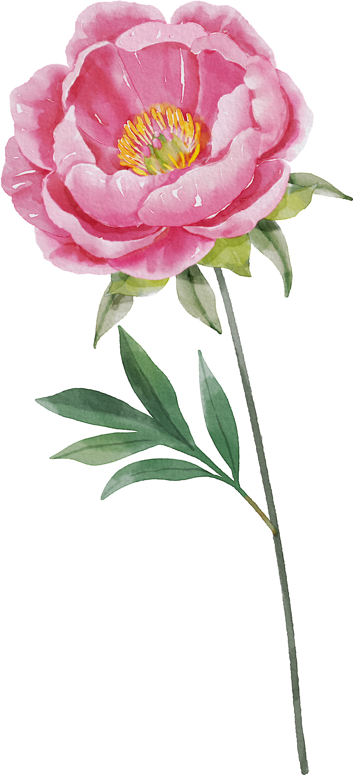 Floral Wall Art -Birth Month 7-12 flowers and names