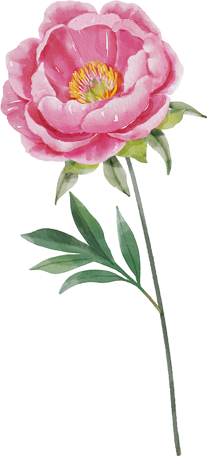 Floral Wall Art -Birth Month 7-12 flowers and names