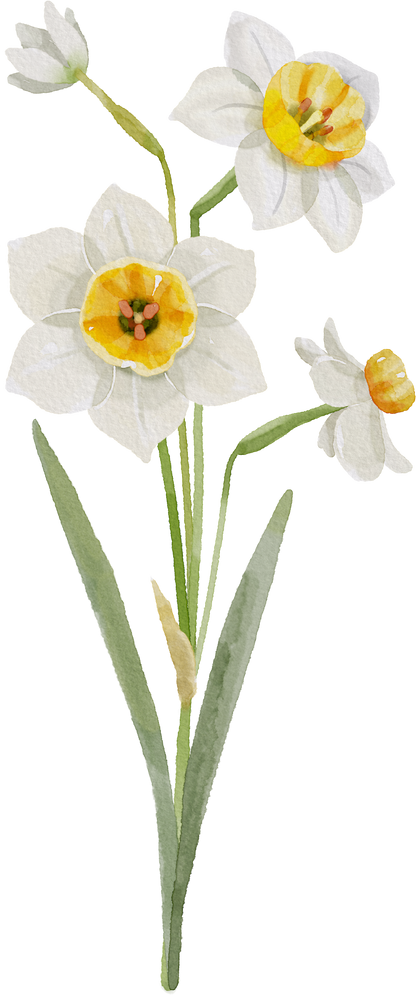 Floral Wall Art -Birth Month 7-12 flowers and names
