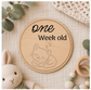 Baby Month Milestone Cats Style Wooden Discs