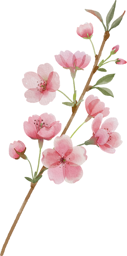 Floral Wall Art -Birth Month 1-6 flowers and names