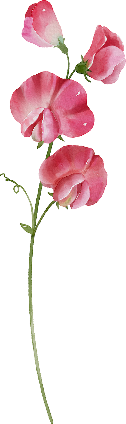 Floral Wall Art -Birth Month 1-6 flowers and names