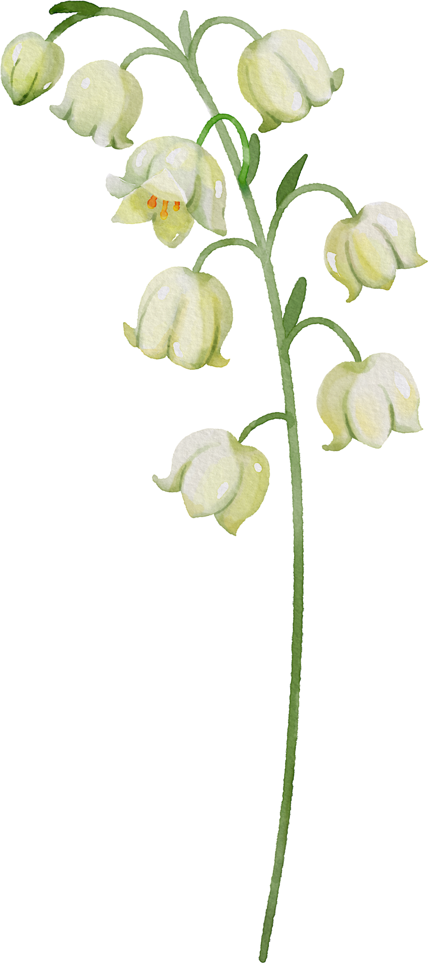 Floral Wall Art -Birth Month 1-6 flowers and names