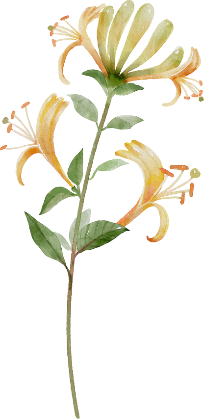 Floral Wall Art -Birth Month 1-6 flowers and names