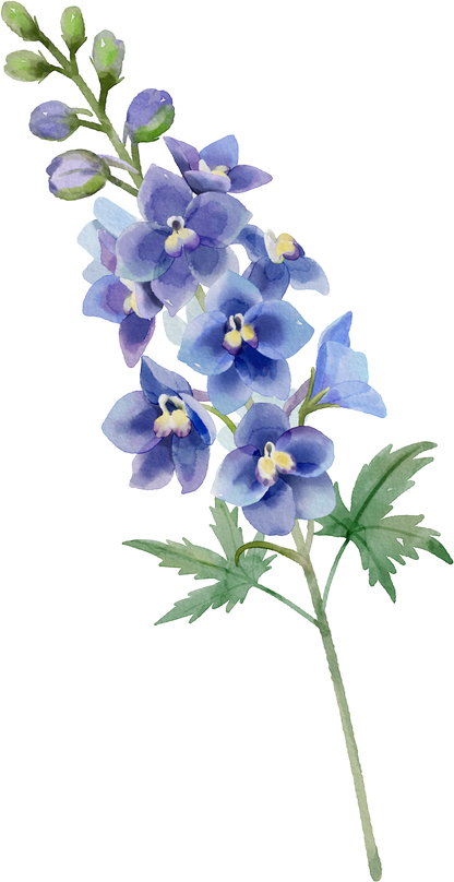 Floral Wall Art -Birth Month 1-6 flowers and names