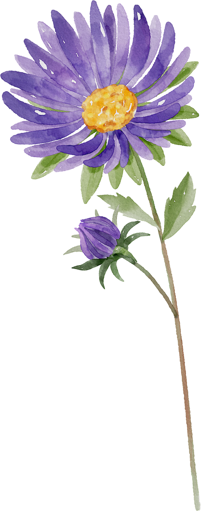 Floral Wall Art -Birth Month 1-6 flowers and names