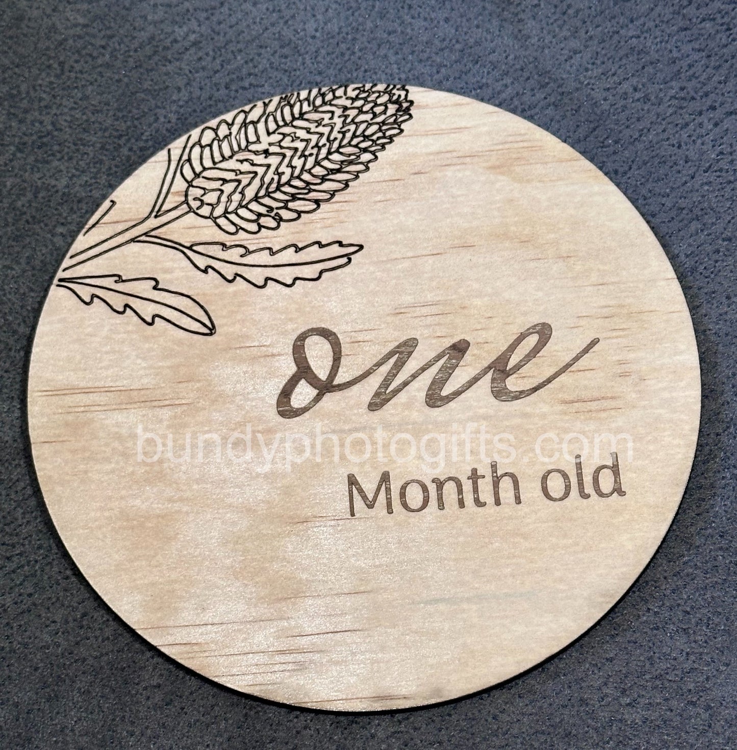 Baby Month Milestone Banksia Style Wooden