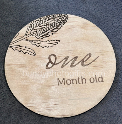 Baby Month Milestone Banksia Style Wooden