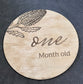 Baby Month Milestone Mixed Native Flower Style Wooden