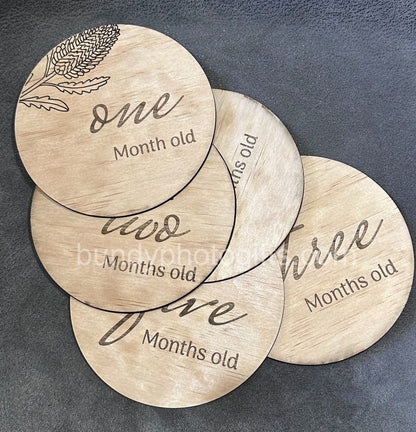 Baby Month Milestone Banksia Style Wooden