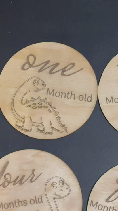 Baby Month Milestone Dinosaur Style Wooden