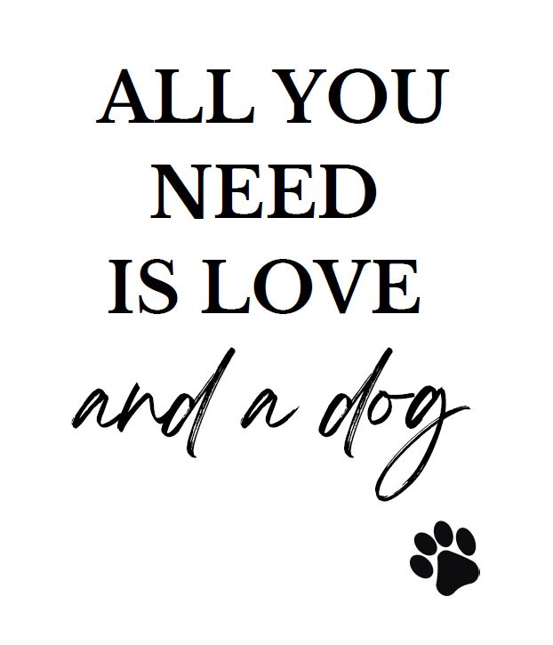 Wall Art - All You Need is Love and a  Dog- Living Room Funny Art